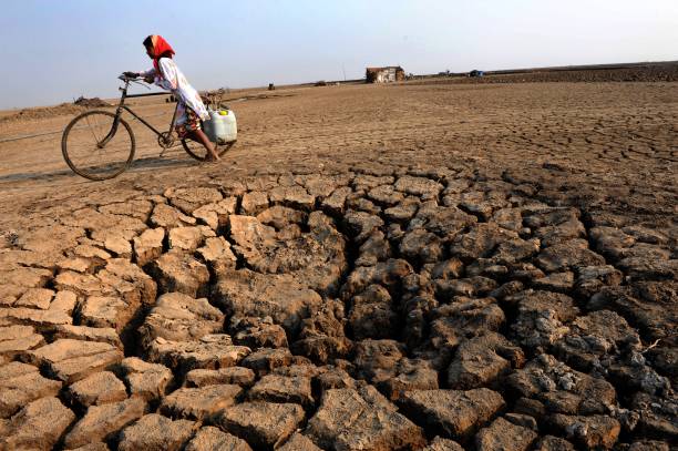 Why must we be the reason that a Planet so full of life is turning Barren?